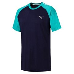 Meeste T-särk Puma Collective Raglan Tee hind ja info | Meeste spordiriided | kaup24.ee