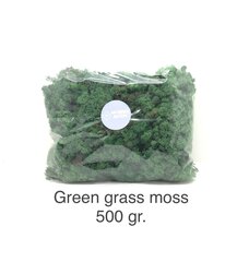 Stabiliseeritud mana Green grass 500 gr. hind ja info | Uinuvad roosid, taimed | kaup24.ee