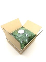 Стабилизированный мох  Green grass 300 гр. цена и информация | Спящие стабилизированные розы, растения | kaup24.ee
