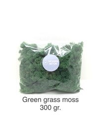 Стабилизированный мох  Green grass 300 гр. цена и информация | Спящие стабилизированные розы, растения | kaup24.ee