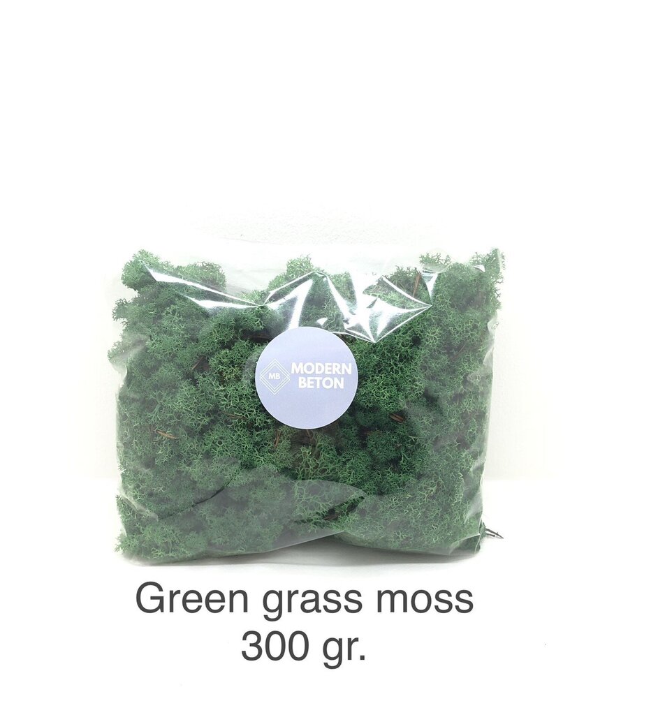 Стабилизированный мох Green grass 300 гр. цена | kaup24.ee