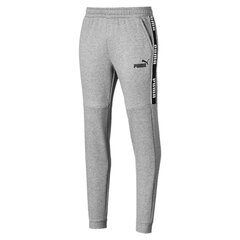 Meeste vabaaja püksid Puma Amplified Pants TR, hall цена и информация | Мужская спортивная одежда | kaup24.ee