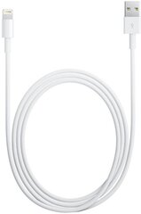 Hallo Lightning USB кабель 2м, белый цена и информация | Кабели и провода | kaup24.ee