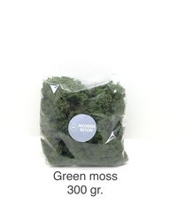 Stabiliseeritud mana Green moss 300 gr. hind ja info | Uinuvad roosid, taimed | kaup24.ee