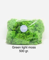 Stabiliseeritud mana Green light 500 gr. hind ja info | Uinuvad roosid, taimed | kaup24.ee