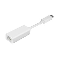 Адаптер Thunderbolt - Gigabit Ethernet, Apple цена и информация | Apple Aксессуары для компьютеров | kaup24.ee