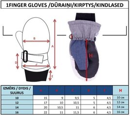 Перчатки для мальчиков JO!CLUB RN-030 цена и информация | Зимняя одежда для детей | kaup24.ee