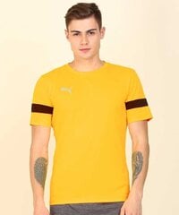 Meeste treeningsärk Puma ftbl PLAY Shirt ULTRA YELLOW 65646318, kollane hind ja info | Meeste T-särgid | kaup24.ee