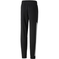 Laste vabaajapüksid Puma Alpha Sweat Pants 58024001, must цена и информация | Шорты для мальчиков | kaup24.ee