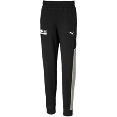 Laste vabaajapüksid Puma Alpha Sweat Pants 58024001, must цена и информация | Шорты для мальчиков | kaup24.ee