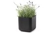 Lillepott Cube Planter M pruun hind ja info | Dekoratiivsed lillepotid | kaup24.ee