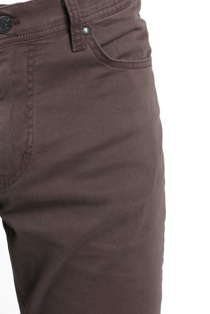 Meeste püksid BLK Jeans, pruun цена и информация | Meeste püksid | kaup24.ee