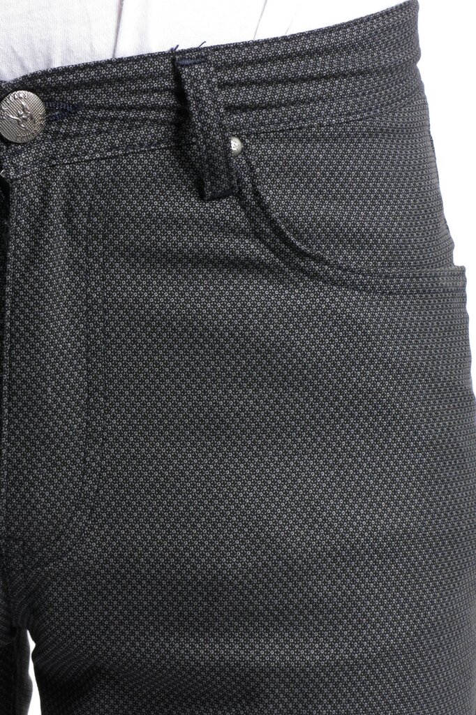 Meeste püksid BLK Jeans, hall цена и информация | Meeste püksid | kaup24.ee