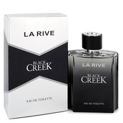 Туалетная вода La Rive Black Creek EDT 100 мл цена и информация | Мужские духи | kaup24.ee