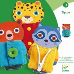 Varajane õppimine - Ziptou, Djeco DJ01663 цена и информация | Развивающие игрушки | kaup24.ee