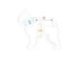 Jope Amiplay Bronx, 37 cm, sinine hind ja info | Riided koertele | kaup24.ee