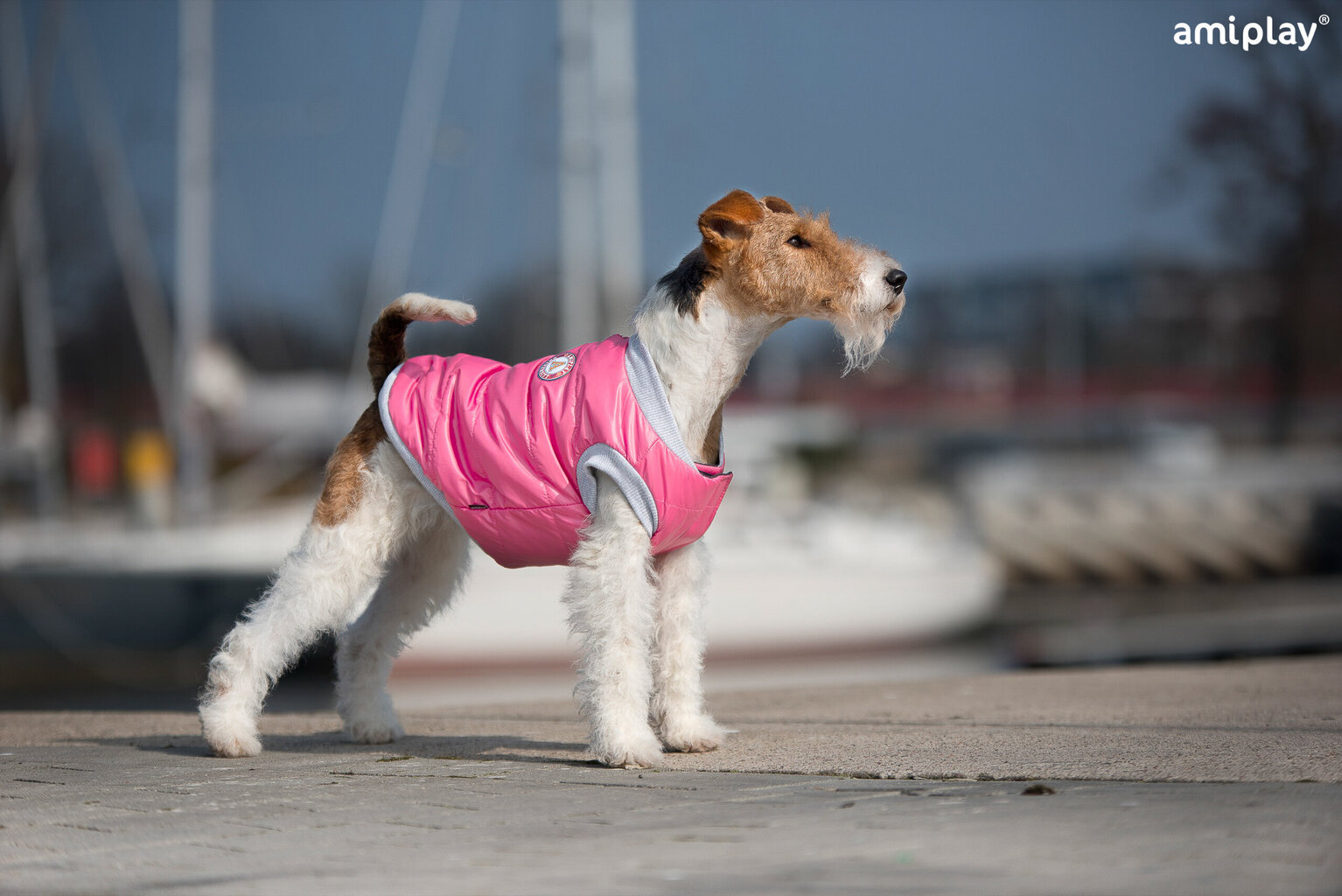 Jope Amiplay Bronx, 46 cm, roosa hind ja info | Riided koertele | kaup24.ee