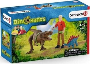 Атака динозавра Tyrannosaurus Rex Dinosaurs Schleich, 41465 цена и информация | Развивающий мелкую моторику - кинетический песок KeyCraft NV215 (80 г) детям от 3+ лет, бежевый | kaup24.ee