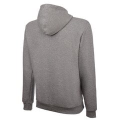 Meeste dressipluus Puma ESS Hoody TR 85474802, hall цена и информация | Мужские толстовки | kaup24.ee