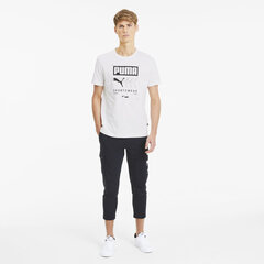 Meeste T-särk Puma Box Tee 58190802, valge цена и информация | Мужские футболки | kaup24.ee