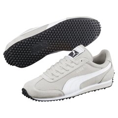 Meeste tossud PUMA Whirlwind Gray Violet-Puma 36378702, hall цена и информация | Кроссовки для мужчин | kaup24.ee