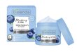 Niisutav päeva- ja öökreem-vaht Bielenda Blueberry C-TOX 40 g hind ja info | Näokreemid | kaup24.ee