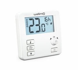 Paigaldus termostaat Wellmo WTH31.16 hind ja info | Taimerid, termostaadid | kaup24.ee