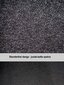 Matid ARS Dodge Ram / 2009-2019 (Standard kate) hind ja info | Tekstiilmatid | kaup24.ee
