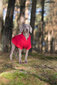 Amiplay džemper kapuutsiga Texas, M, punane hind ja info | Riided koertele | kaup24.ee