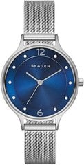 Часы женские Skagen цена и информация | Женские часы | kaup24.ee