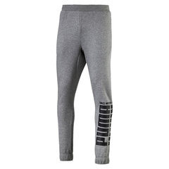 Meeste vabaaja püksid Puma Rebel Bold Pants FL, hall цена и информация | Мужская спортивная одежда | kaup24.ee