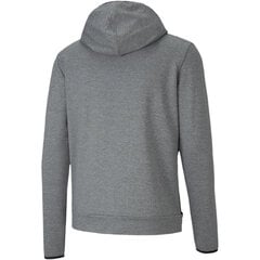 Meeste pusa Puma RTG Hoody TR 58150703, hall цена и информация | Мужские толстовки | kaup24.ee