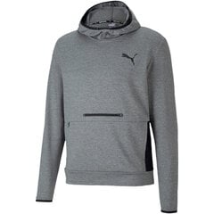 Meeste pusa Puma RTG Hoody TR 58150703, hall цена и информация | Мужские толстовки | kaup24.ee