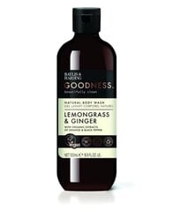 Kehapesuvahend Baylis & Harding Goodness Lemongrass & Ginger, 500 ml hind ja info | Dušigeelid, õlid | kaup24.ee