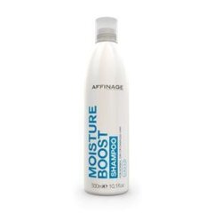 Niisutav šampoon Asp Mode Moisture Boost, 300ml цена и информация | Шампуни | kaup24.ee