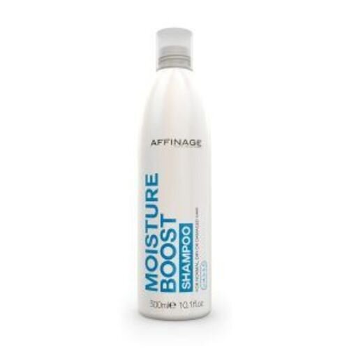 Niisutav šampoon Asp Mode Moisture Boost, 300ml hind ja info | Šampoonid | kaup24.ee