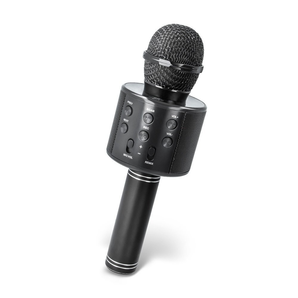 Mikrofon Forever BMS-300 цена и информация | Mikrofonid | kaup24.ee
