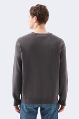 Свитер MAVI цена и информация | свитер e193 - черный | kaup24.ee