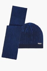Зимняя шапка XINT цена и информация | Мужские шарфы, шапки, перчатки | kaup24.ee