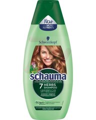 Освежающий шампунь для жирных и нормальных волос Schwarzkopf Schauma 7 Herbs, 250 мл цена и информация | Шампуни | kaup24.ee