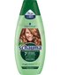 Värskendav šampoon rasustele ja normaalsetele juustele Schwarzkopf Schauma 7 Herbs, 250 ml hind ja info | Šampoonid | kaup24.ee