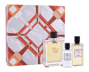 Набор для мужчин Hermes Terre d'Hermes Eau Intense Vetiver: туалетная вода EDP, 100 мл + гель для душа,для волос и тела, 80 мл + лосьон после бритья, 40 мл цена и информация | Мужские духи | kaup24.ee