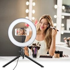 LED reguleeritav Selfie-lamp 12W / 25,5 cm USB 5V-2A 3000K-6000K hind ja info | Fotovalgustuse seadmed | kaup24.ee
