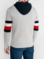 свитер tommy hilfiger ww0ww39003 WW0WW39003_6D3452F_GRIGIO01N_L цена и информация | Мужские свитера | kaup24.ee