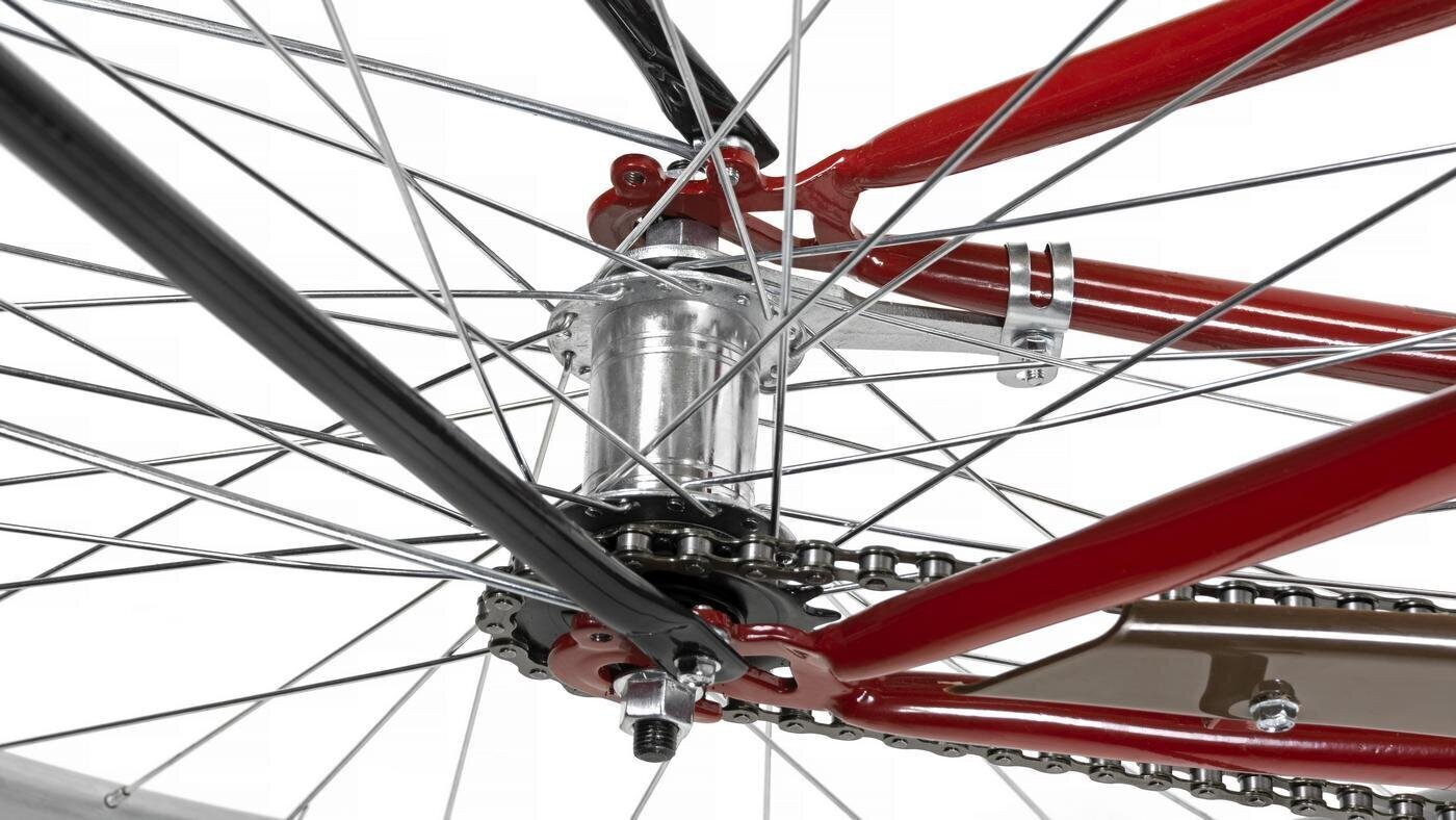 Linnajalgratas AZIMUT City Lux 28" 2021, punane hind ja info | Jalgrattad | kaup24.ee