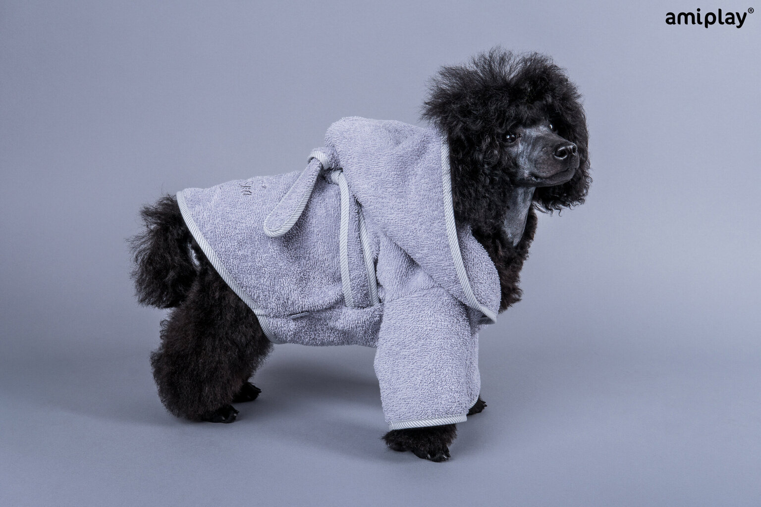 Koerte hommikumantel Amiplay SPA Grey, 50 cm hind ja info | Hooldusvahendid loomadele | kaup24.ee