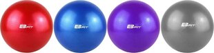 Võimlemispall Eb Fit 25 cm, lilla hind ja info | EB Fit Sport, puhkus, matkamine | kaup24.ee