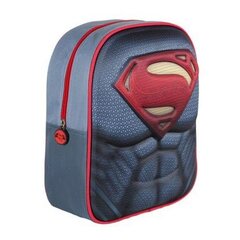 Poiste seljakott 3D Superman/Supermees 3406, sinine hind ja info | Koolikotid, sussikotid | kaup24.ee