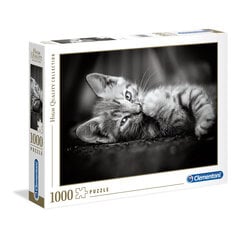 Pusle Clementoni High Quality Collection Kitty (Kassipoeg), 1000-osaline цена и информация | Пазлы | kaup24.ee