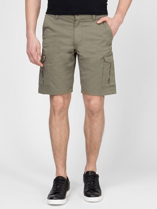Meeste lühikesed püksid Gant, roheline hind ja info | Meeste lühikesed püksid | kaup24.ee